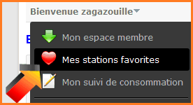 Illustration du lien -Mes stations favorites-